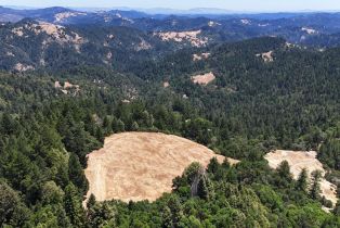 Single Family Residence,  Mohrhardt Ridge road, Russian River, CA 95421 - 5