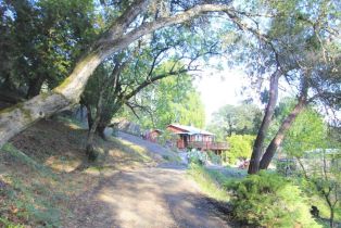 Single Family Residence,  Mohrhardt Ridge road, Russian River, CA 95421 - 19