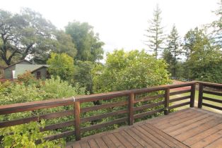 Single Family Residence,  Mohrhardt Ridge road, Russian River, CA 95421 - 22