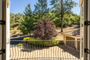 Single Family Residence,  White Cottage road, Angwin, CA 94508 - 32