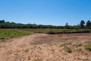 Single Family Residence, 303 Watertrough road, Sebastopol, CA 95472 - 62