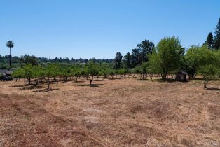 Single Family Residence, 303 Watertrough road, Sebastopol, CA 95472 - 54