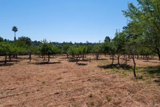 Single Family Residence, 303 Watertrough road, Sebastopol, CA 95472 - 53