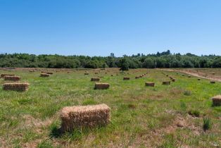 Single Family Residence, 303 Watertrough road, Sebastopol, CA 95472 - 55