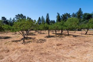 Single Family Residence, 303 Watertrough road, Sebastopol, CA 95472 - 52