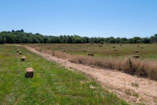 Single Family Residence, 303 Watertrough road, Sebastopol, CA 95472 - 58