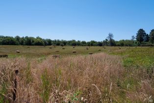 Single Family Residence, 303 Watertrough road, Sebastopol, CA 95472 - 56