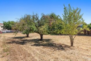 Single Family Residence,  University street, Healdsburg, CA 95448 - 27