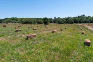 Agriculture, 303 Watertrough road, Sebastopol, CA 95472 - 57