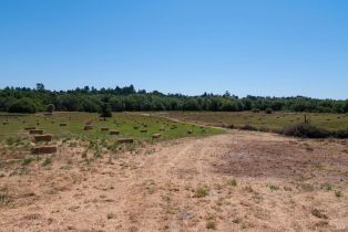 Agriculture, 303 Watertrough road, Sebastopol, CA 95472 - 61