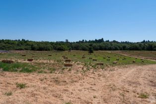 Agriculture, 303 Watertrough road, Sebastopol, CA 95472 - 60