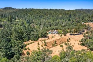 Single Family Residence,  Bones road, Sebastopol, CA 95472 - 27