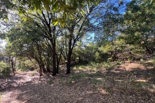 Recreation,  Pine Mountain road, Cloverdale, CA 95425 - 10