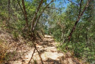 Residential Acreage,  Mountain View Ranch road, Healdsburg, CA 95448 - 10