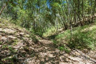 Residential Acreage,  Mountain View Ranch road, Healdsburg, CA 95448 - 12