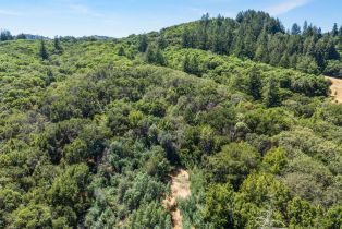 Residential Acreage,  Mountain View Ranch road, Healdsburg, CA 95448 - 9