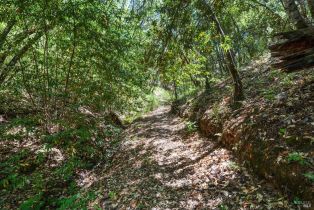 Residential Acreage,  Mountain View Ranch road, Healdsburg, CA 95448 - 11