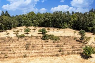 Residential Acreage,  Bones road, Sebastopol, CA 95472 - 17