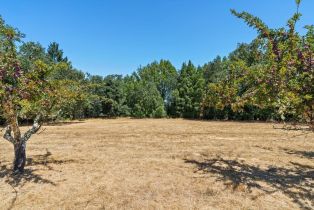 Residential Acreage,  Bones road, Sebastopol, CA 95472 - 7