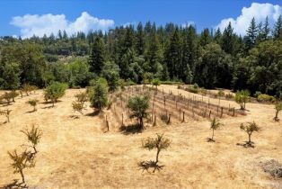 Residential Acreage,  Bones road, Sebastopol, CA 95472 - 15