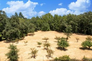 Residential Acreage,  Bones road, Sebastopol, CA 95472 - 14