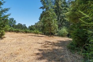 Residential Acreage,  Bones road, Sebastopol, CA 95472 - 12