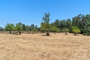 Residential Acreage,  Bones road, Sebastopol, CA 95472 - 9