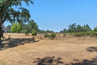 Residential Acreage,  Bones road, Sebastopol, CA 95472 - 13