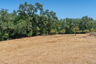 Residential Acreage,  Bones road, Sebastopol, CA 95472 - 5