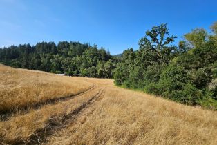 Single Family Residence,  Brack road, Healdsburg, CA 95448 - 10