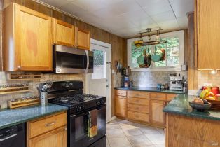 Single Family Residence,  Cherry street, Russian River, CA 95446 - 30