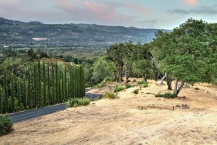 Residential Acreage,  High Grove lane, Sonoma, CA 95476 - 25