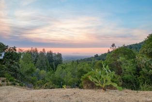 Residential Acreage,  High Grove lane, Sonoma, CA 95476 - 15