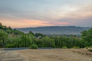 Residential Acreage,  High Grove lane, Sonoma, CA 95476 - 16