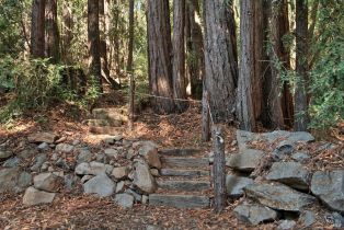 Residential Acreage,  High Grove lane, Sonoma, CA 95476 - 12