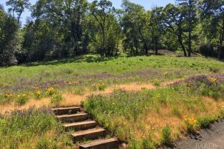 Residential Acreage,  High Grove lane, Sonoma, CA 95476 - 13