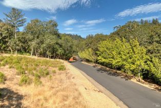 Residential Acreage,  High Grove lane, Sonoma, CA 95476 - 7