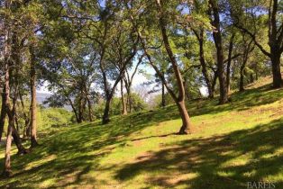 Residential Acreage,  High Grove lane, Sonoma, CA 95476 - 21