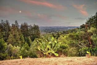 Residential Acreage,  High Grove lane, Sonoma, CA 95476 - 26