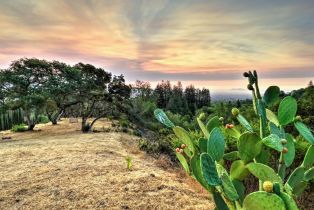 Residential Acreage,  High Grove lane, Sonoma, CA 95476 - 19