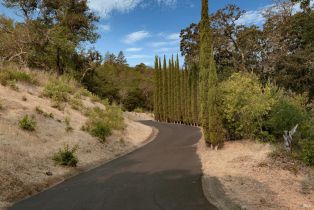 Residential Acreage,  High Grove lane, Sonoma, CA 95476 - 4