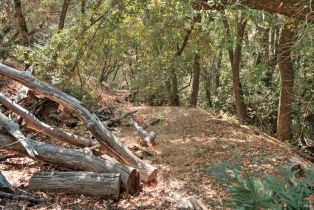 Residential Acreage,  High Grove lane, Sonoma, CA 95476 - 8