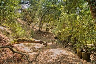 Residential Acreage,  High Grove lane, Sonoma, CA 95476 - 11