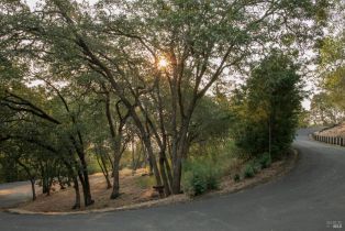 Residential Acreage,  High Grove lane, Sonoma, CA 95476 - 5