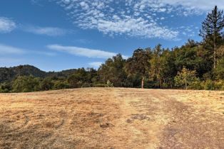 Residential Acreage,  High Grove lane, Sonoma, CA 95476 - 3