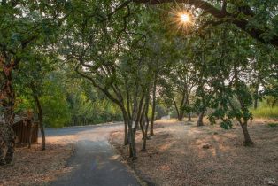 Residential Acreage,  High Grove lane, Sonoma, CA 95476 - 6