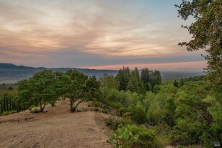 Residential Acreage,  High Grove lane, Sonoma, CA 95476 - 17