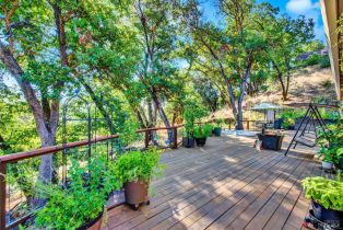 Single Family Residence,  Ridgecrest drive, Napa, CA 94558 - 32