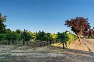 Single Family Residence,  Westside road, Healdsburg, CA 95448 - 46