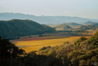 Single Family Residence,  Silverado trail, Napa, CA 94558 - 40